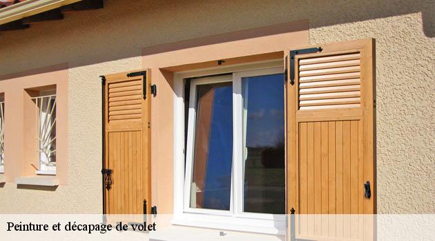 Confiez la rénovation de vos volets à Duculty Rénovation, votre entreprise de peinture et décapage de volet Dizimieu