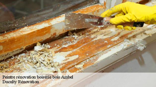 Obtenez un devis peinture boiserie avec Duculty Rénovation à Ambel