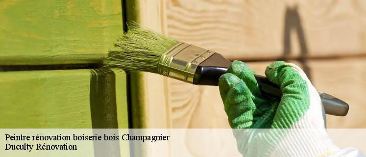 Mettez en valeur vos bois avec la peinture sur bois de Duculty Rénovation à Champagnier