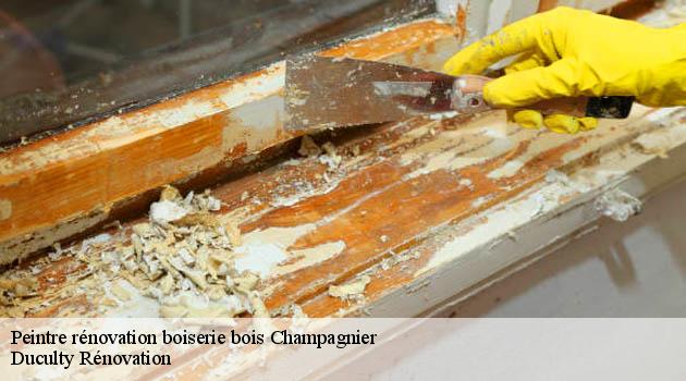 Confiez la beauté de vos boiseries à Duculty Rénovation, votre expert en peinture boiserie à Champagnier