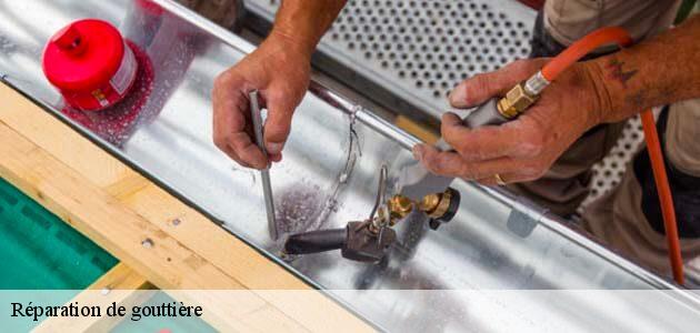 Engagez un couvreur pour réparation de gouttière Arzay fiable chez Duculty Rénovation