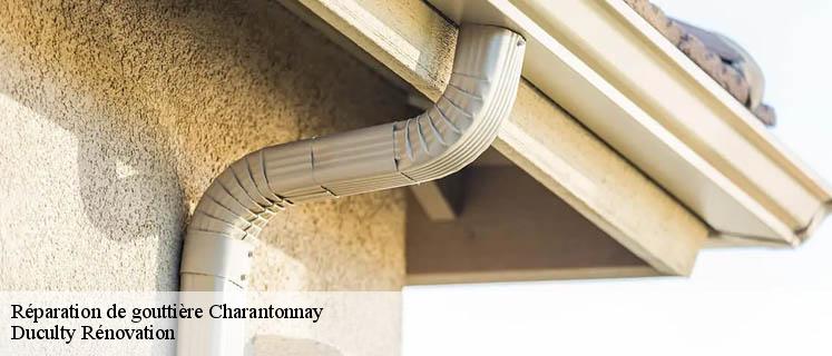 Bénéficiez d’un prix réparation de gouttière Charantonnay abordable avec Duculty Rénovation