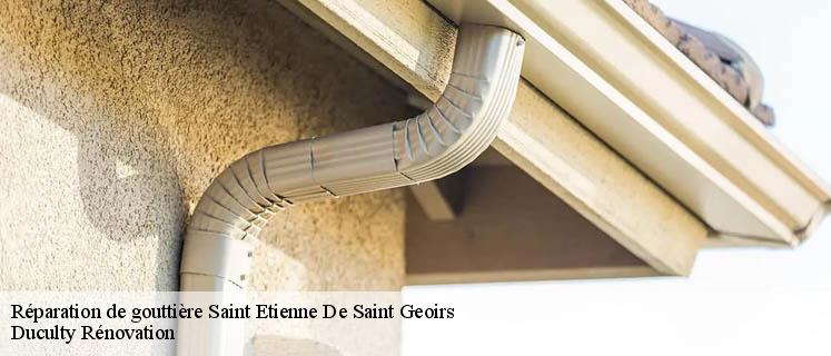 Confiez à l’entreprise réparation de gouttière Duculty Rénovation votre système d’évacuation d’eau à Saint Etienne De Saint Geoirs
