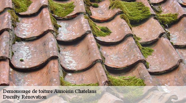 Démoussage toiture à Annoisin Chatelans : une opération dangereuse et délicate