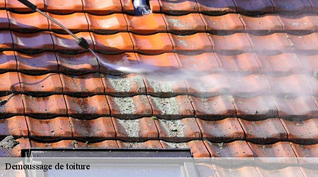 Pour le démoussage de votre toit en zinc à Artas 38440