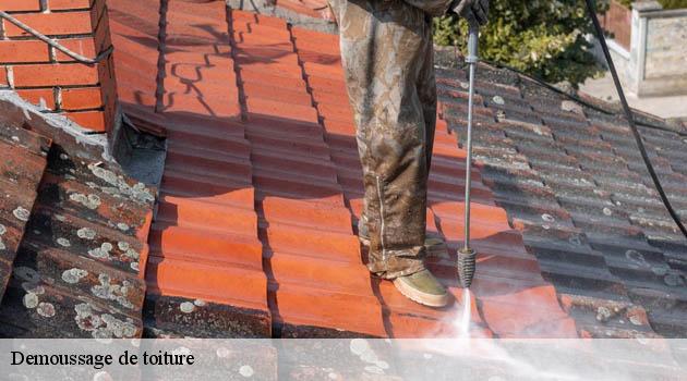 Le détail de votre devis demoussage de toiture chez Duculty Rénovation à Auberives En Royans