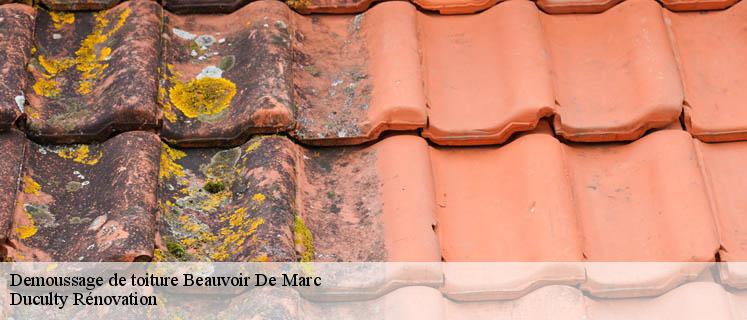 Le détail de votre devis demoussage de toiture chez Duculty Rénovation à Beauvoir De Marc