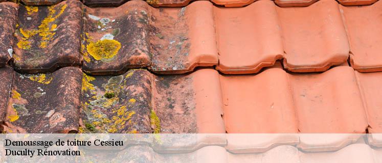 Demoussage de toit pas cher Cessieu 38110 de qualité avec Duculty Rénovation