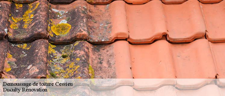 Duculty Rénovation : un réseau d’experts en démoussage toiture 