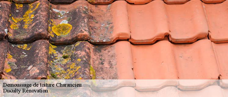 À Charancieu, vous avez l’artisan pour demoussage de toiture Charancieu expert chez Duculty Rénovation