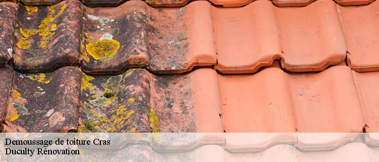 À Cras, vous avez l’artisan pour demoussage de toiture Cras expert chez Duculty Rénovation