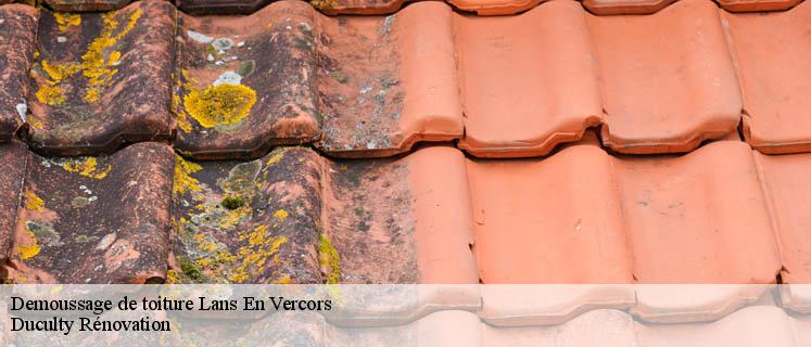 Service démoussage toiture satisfaisant à Lans En Vercors