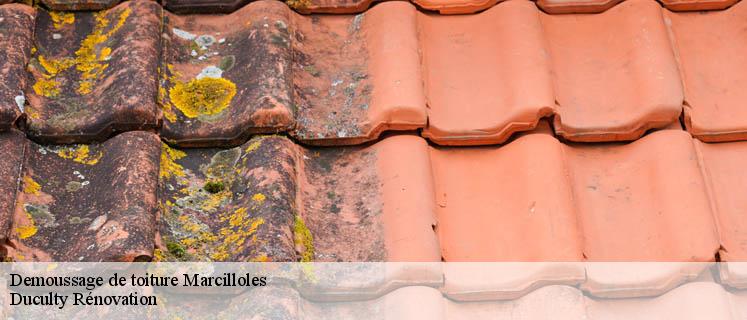 Le détail de votre devis demoussage de toiture chez Duculty Rénovation à Marcilloles