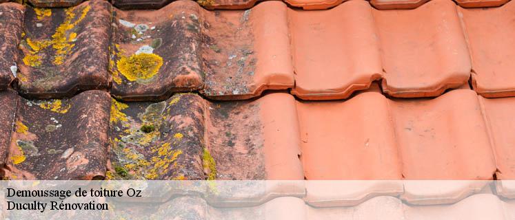 Le détail de votre devis demoussage de toiture chez Duculty Rénovation à Oz