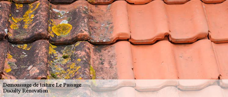Pour le démoussage de votre toit en zinc à Le Passage 38490