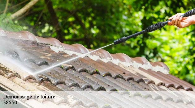 Demoussage de toit pas cher Roissard 38650 de qualité avec Duculty Rénovation