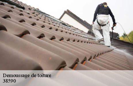 Service démoussage toiture satisfaisant à Saint Geoirs