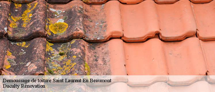 Service démoussage toiture satisfaisant à Saint Laurent En Beaumont