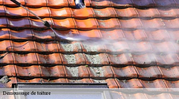 Pour le démoussage de votre toit en zinc à Saint Savin 38300