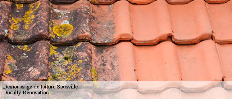 Service démoussage toiture satisfaisant à Sousville