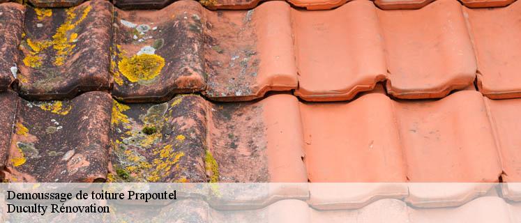 Demoussage de toit pas cher Prapoutel 38190 de qualité avec Duculty Rénovation