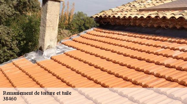 Remaniement toiture et tuile à Annoisin Chatelans 38460 : une tâche compliquée
