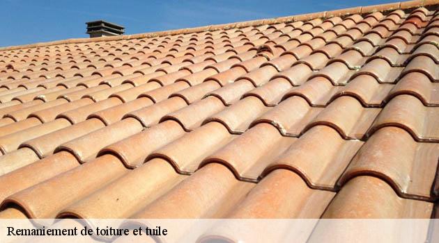 Transformez l'aspect de votre toiture avec notre entreprise de remaniement de toiture Duculty Rénovation à Le Champ Pres Froges