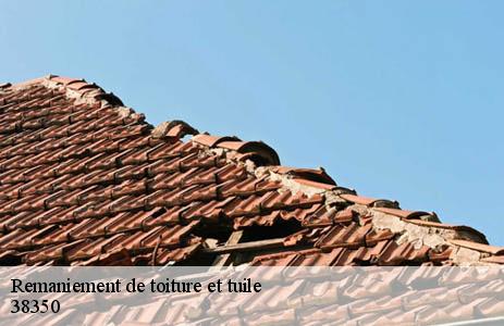 Où trouver un spécialiste du remaniement toiture et tuile à Saint Michel En Beaumont 38350 ?