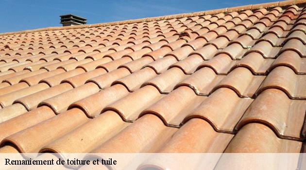 Optez pour l'excellence avec le remaniement de tuile par Duculty Rénovation à Vaulnaveys Le Haut